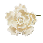 Ruffled Petal