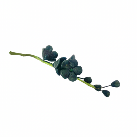Black Forget Me Not