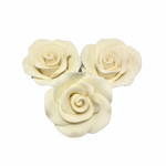 Ivory Cluster